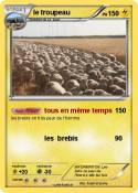le troupeau