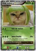 chat melon