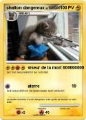 chatton dangereux chatton