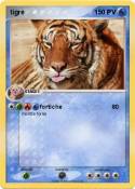tigre