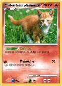 Chaton team
