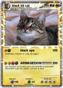 black kit cat