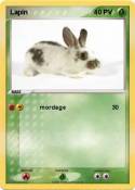 Lapin