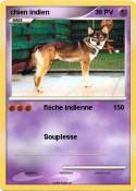 chien indien