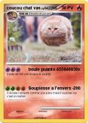 coucou chat vas