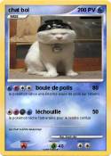 chat bol chat bol
