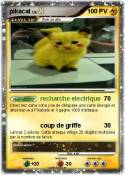 pikacat
