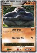 Gorille