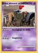 dogue allemand en h@bile dogue allemand