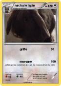 raichu le lapin raichu le lapin