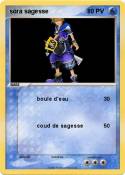 sora sagesse