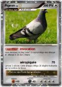 Pigeon