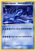 dragon aquwos