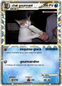 chat gourmant