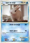 lapin de neige