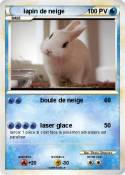 lapin de neige