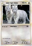 bébé tigre