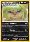 Chat Pastèsque