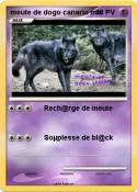meute de dogo canario mix meute de dogo