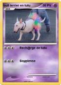 bull terrier en