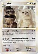 chat