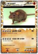 rat pourri