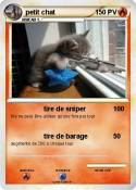 petit chat