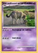 irish wolfhound