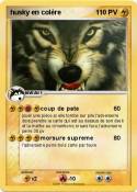 husky en
