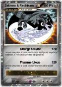 Zekrom &