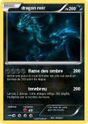 dragon noir
