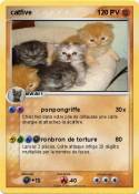 catfive catfive