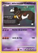 Trishian ( akita-bouvier bernois Trishian (