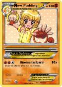 ew Pudding