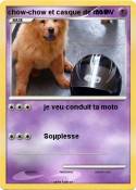 chow-chow et