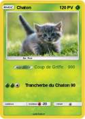 Chaton