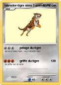 labrador-tigre sims 3 animaux & cie labrador-tigre