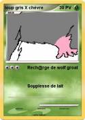loup gris X chèvre loup gris X