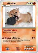shiba inu