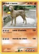 pit-bull = taurau pit-bull =