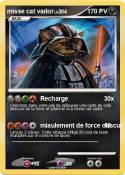 misse cat vador