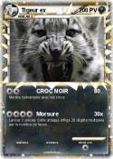 Tigeur ex