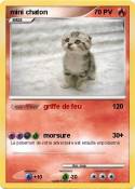 mini chaton