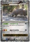 cochinou