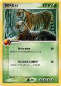 TIGRE ex