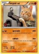 sergent cat