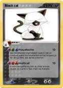 Black cat