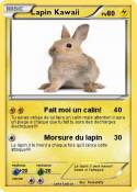 Lapin Kawaii
