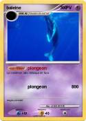 baleine 0