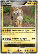 le tigre